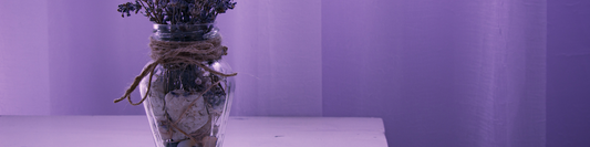 dried lavender in vase